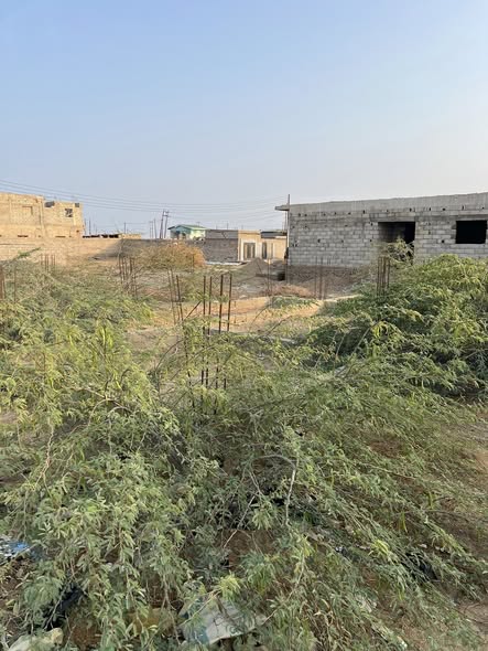 أرض للبيع - بورتسودان - المطار — 3