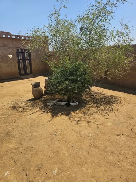 بيت للبيع - ربك — 2