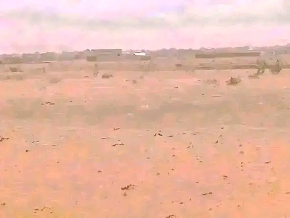 أرض للبيع - الأبيض — 2