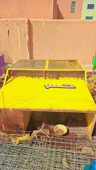 محل للبيع - شندي — 2